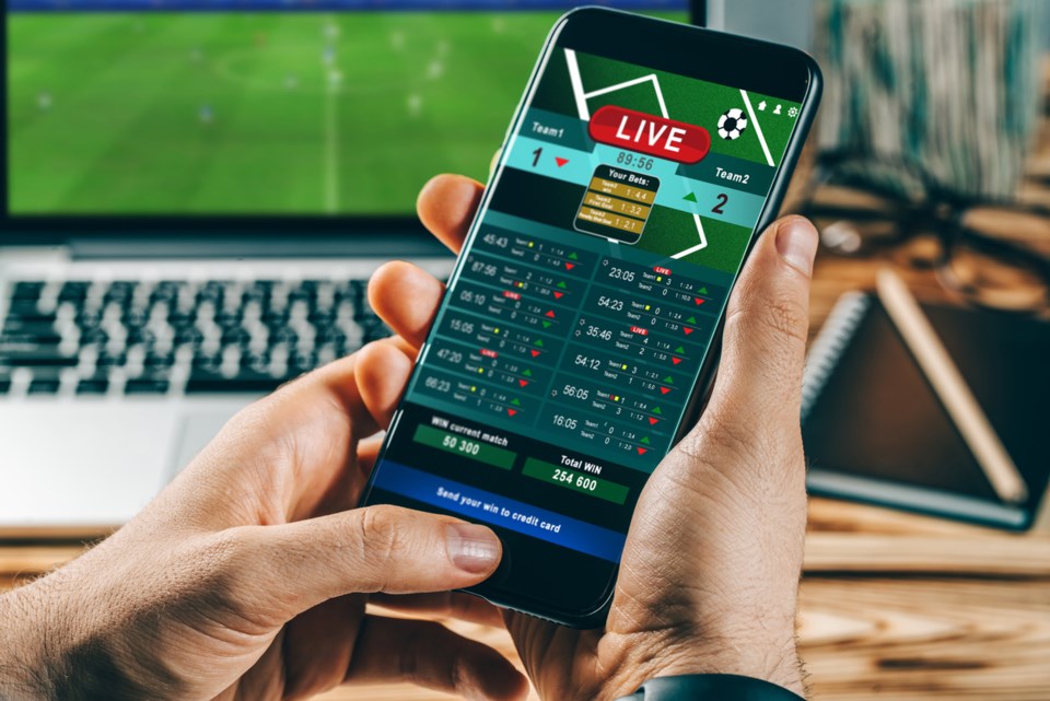 Betting strategies for successful horse 3 Betting strategies for successful horse 3